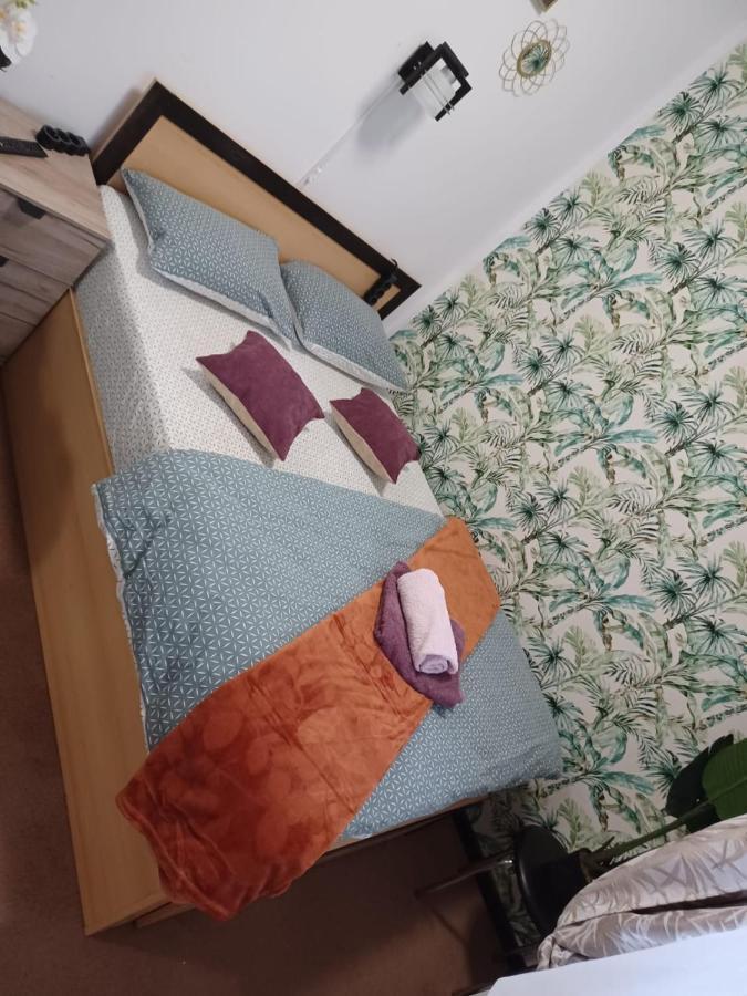 Studio Republicii Appartamento Braşov Esterno foto